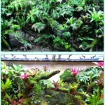 MIUS B150 Rainforest Tank Ecological Landscaping Atomization Climbing Pet Spray Pump, CN Plug - Image 8