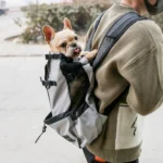 Ventilated And Breathable Washable Pet Portable Backpack - Image 6