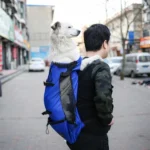 Ventilated And Breathable Washable Pet Portable Backpack - Image 7