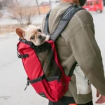 Ventilated And Breathable Washable Pet Portable Backpack - Image 8