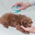 Pet Bath Brush Dog Massage Cleaning And Beauty Products - Image 7