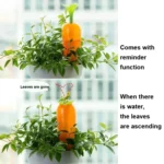 Carrot Automatic Watering Flower Device With Reminder Function - Image 5
