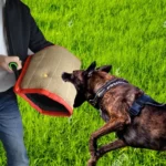 Red Twill Jute Training Dog Bite Sleeve Open Sleeve Protector Pet Products - Image 10