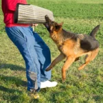 Dog Training Black-Edged Rough-Grained Jute Fluttering Sleeves Protector - Image 7