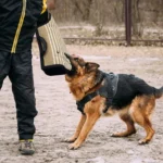 Dog Training Black-Edged Rough-Grained Jute Fluttering Sleeves Protector - Image 8