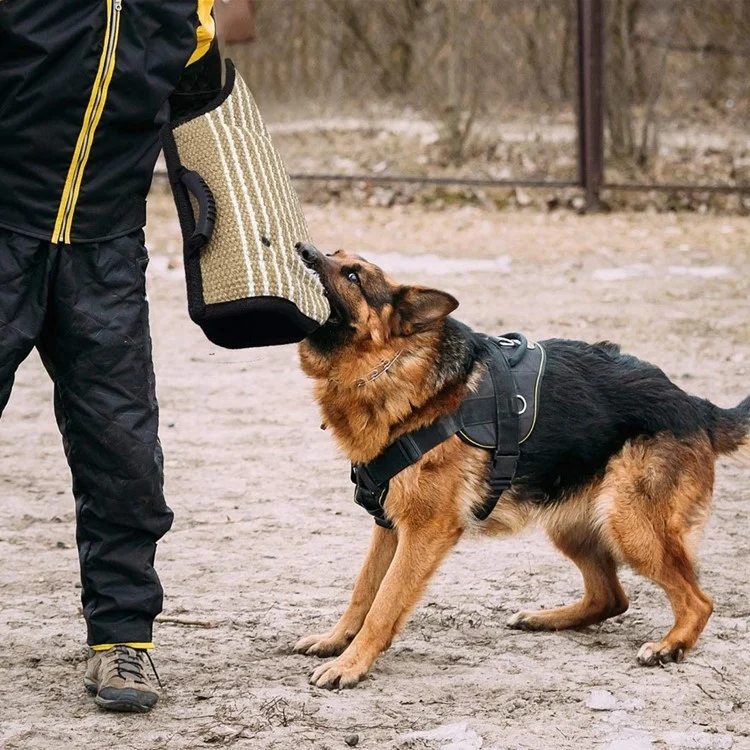 TBD05677469_7.webp Dog Training Black-Edged Rough-Grained Jute Fluttering Sleeves Protector - Image 8