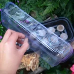 2 In 1 Breeding Seedling Tray Gardening Seeding Box - Image 3