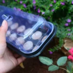 2 In 1 Breeding Seedling Tray Gardening Seeding Box - Image 4