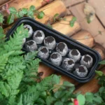 2 In 1 Breeding Seedling Tray Gardening Seeding Box - Image 5