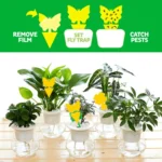10pcs Double-Sided Yellow Board Sticky Insect Board Insect Trap Heterogeneous Physical Sticky Insect Board, Random Style Delivery - Image 3