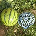 5 PCS Watermelon Holding Fruit Planting Tray Garden Fruit Anticorrosive Rotten Plastic Stable Tray - Image 5