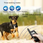 PaiPaitek PD529V-1 Training Dog Anti-Barking Device Vibration Collar 1000M Remote Control Distance Pet Training Supplies - Image 6