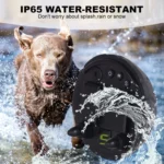 Dog Barking Stopper Sound Vibration Anti-Barking Electric Shock Collar EU Plug - Image 7