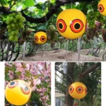 60cm PVC Inflatable Beach Ball Orchard Bird Ball Anti-Bird Farm Balloons - Image 7
