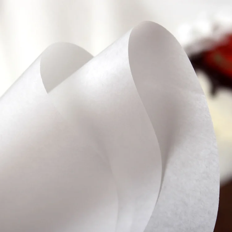 TBD0572215001_B2.webp 1 Set Double-Sided Silicone Oil Baking Paper Cake Biscuit Pizza Tray Non-Stick Greaseproof Paper - Image 3