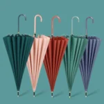 16 Bone Plain Straight Umbrella Small Fresh Long Handle Umbrella - Image 6