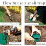 Snail Trap Garden Vegetable Garden Snail Trap Physically Kill Snail Cage - Image 6