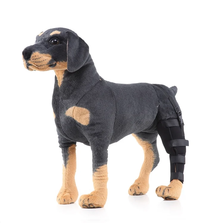 TBD0583440901A_1.webp HJ19 Pet Surgery Rehabilitation Back Leg Protector Walking Aids - Image 3