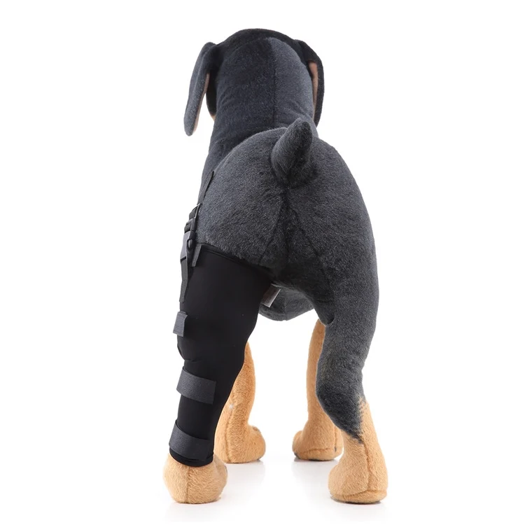 TBD0583440901A_2.webp HJ19 Pet Surgery Rehabilitation Back Leg Protector Walking Aids - Image 4