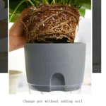Transparent Plastic Double-Layer Water Storage Automatic Water-Absorbing Flowerpot - Image 3