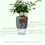 Transparent Plastic Double-Layer Water Storage Automatic Water-Absorbing Flowerpot - Image 4