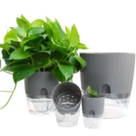 Transparent Plastic Double-Layer Water Storage Automatic Water-Absorbing Flowerpot - Image 5