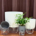 Transparent Plastic Double-Layer Water Storage Automatic Water-Absorbing Flowerpot - Image 6