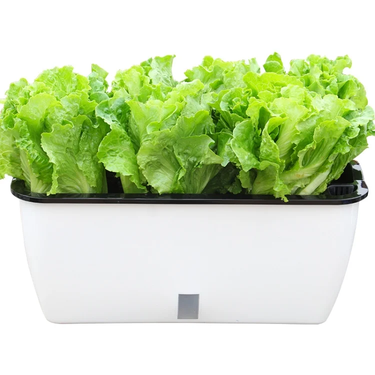 Family Balcony Rectangular Plastic Self-Absorbent Vegetable Growing Pot Flower Pot, Style: