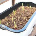 Family Balcony Rectangular Plastic Self-Absorbent Vegetable Growing Pot Flower Pot, Style: - Image 5