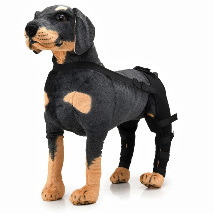 TBD0583686701A_1.webp Pet Dog Leg Knee Guard Surgery Injury Protective Cover - Image 3
