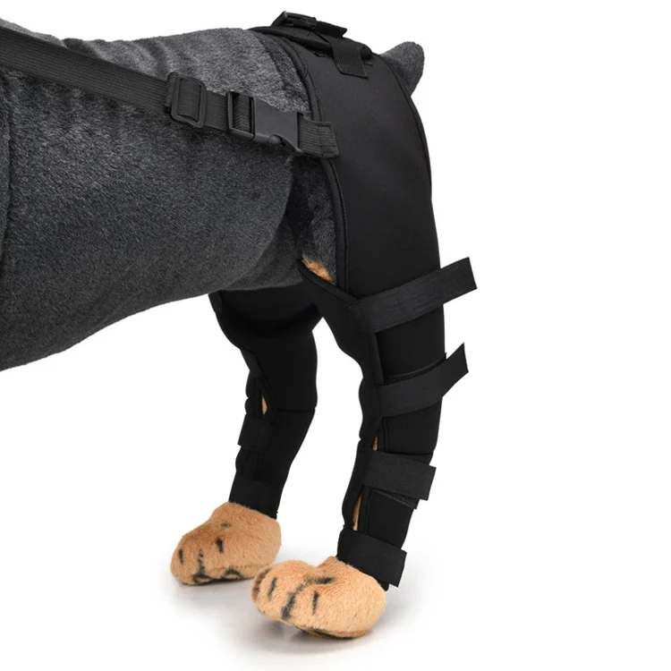 TBD0583686701A_3.webp Pet Dog Leg Knee Guard Surgery Injury Protective Cover - Image 5