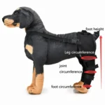 Pet Dog Leg Knee Guard Surgery Injury Protective Cover - Image 2