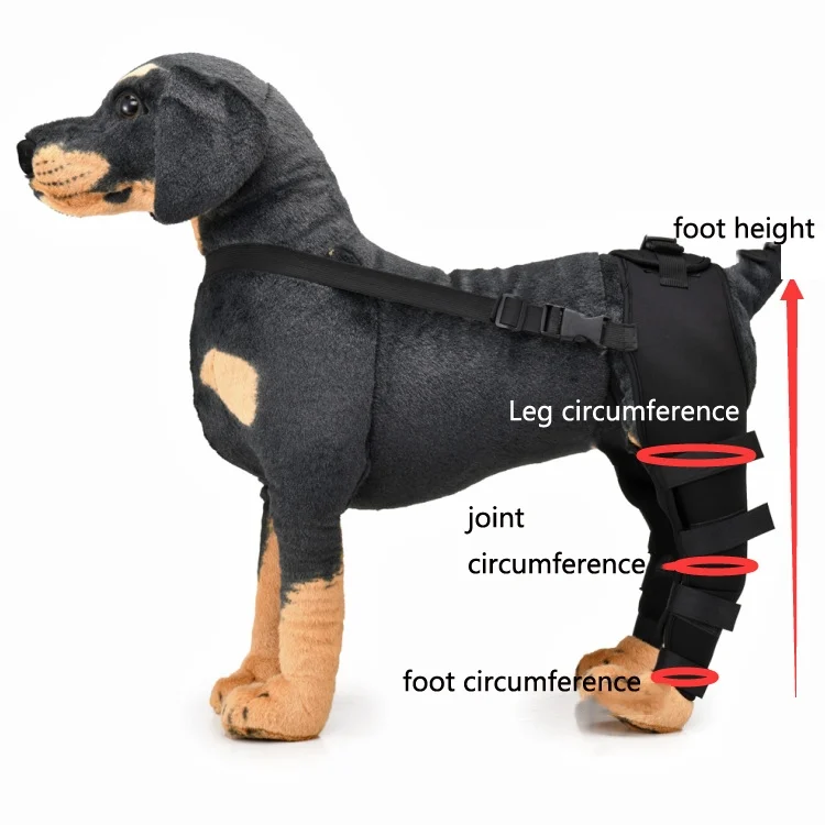 TBD0583686701_B1.webp Pet Dog Leg Knee Guard Surgery Injury Protective Cover - Image 2