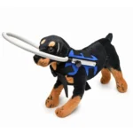 Dog Blindness Anti-Collision Ring Animal Protection Ring Cover Guide Ring - Image 3