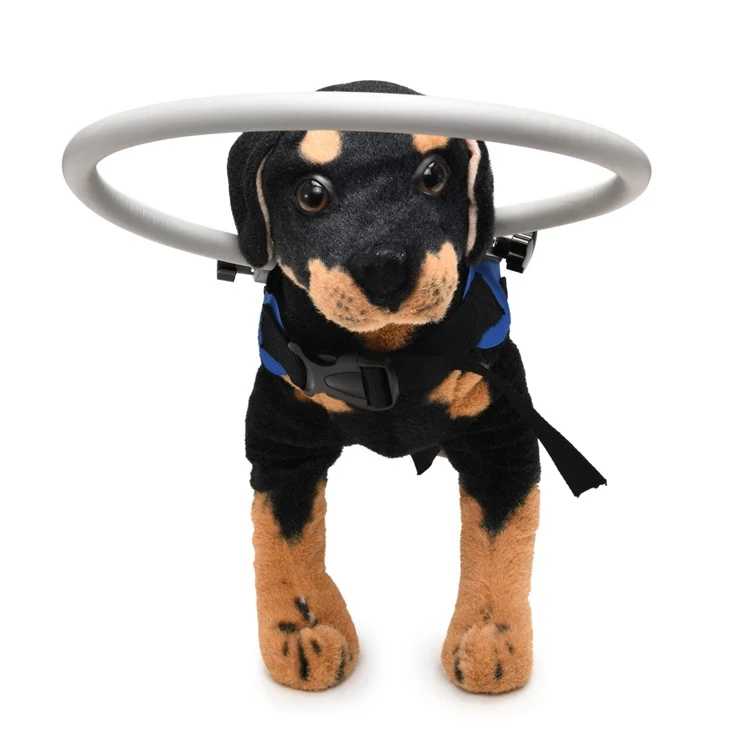 TBD0584127501A_3.webp Dog Blindness Anti-Collision Ring Animal Protection Ring Cover Guide Ring - Image 5