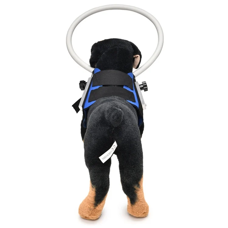 TBD0584127501A_4.webp Dog Blindness Anti-Collision Ring Animal Protection Ring Cover Guide Ring - Image 6