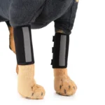 Pet Knee Protector Dog Surgery Injury Protective Cover