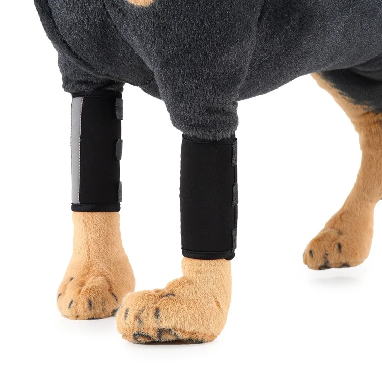 TBD0584129201A_1.webp Pet Knee Protector Dog Surgery Injury Protective Cover - Image 2