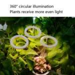 LED Plant Growth Lamp Full Spectroscopy Intelligent Timing Indoor Fill Light Ring Plant Lamp - Image 5