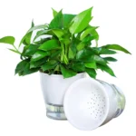 Fully Transparent Hydroponic Flower Pots Water Level Visible Non-Broken Glue Self-Absorbent Plastic Flower Pots