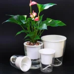 Fully Transparent Hydroponic Flower Pots Water Level Visible Non-Broken Glue Self-Absorbent Plastic Flower Pots - Image 4