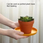 5pcs Home 6 Inch Small Dish Plastic Snack Cake Dish Dining Table Garbage Tray - Image 7