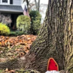 Courtyard Wooden Miniature Fairy Dwarf Door Tree Decoration - Image 5