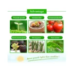 Ultra-Thin LED Plant Light, Full Spectrum COB Growth Light, Vegetable, Fruit & Flower Greenhouse Fill Light With Plug - Image 7