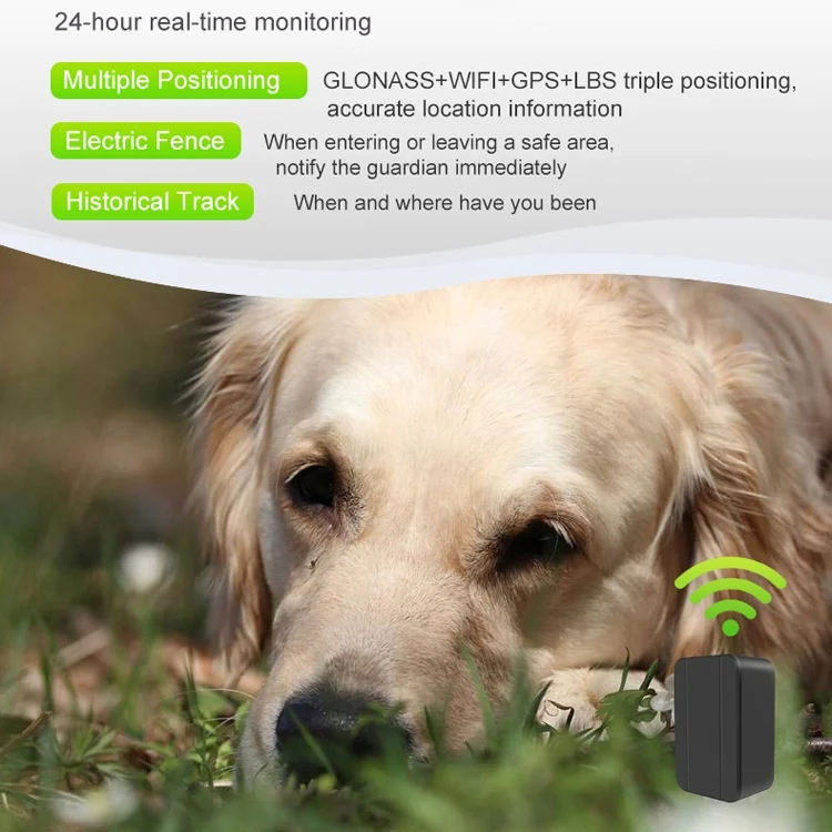 TBD05977898_3.webp CJ230 Pet Locator Micro Mini GPS Locator - Image 4