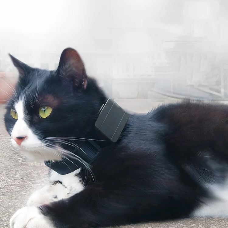 TBD05977898_6.webp CJ230 Pet Locator Micro Mini GPS Locator - Image 7