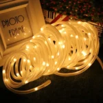 Holiday Party Decoration Tube String Lights LED Garden Decoration Casing Light with Remote Control, Spec: