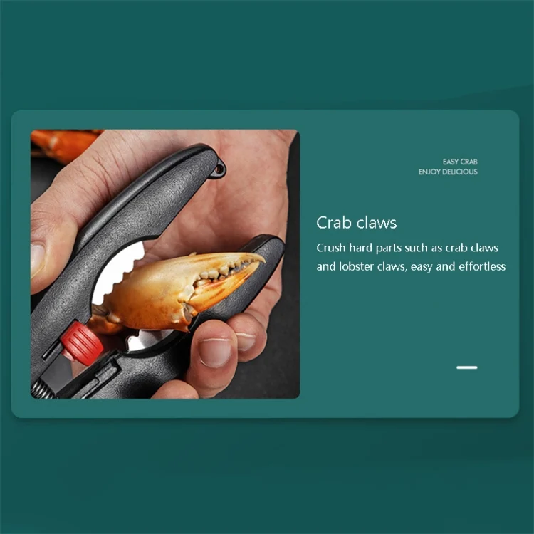 TBD0600411501_B5.webp Crab Tool 304 Stainless Steel Crab Fork Crab Scissors Crab Needle,Style: - Image 6