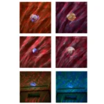 Planetary LED Aurora Bluetooth Projection Lights Remote Music Laser Lamp - Image 5