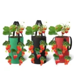 Multi-Mouth Hanging Strawberry Plant Bag With 13 Holes - Image 2